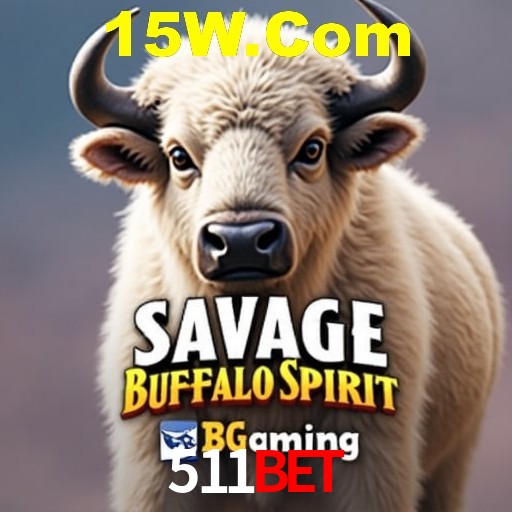 A Experiência Imersiva dos Cassinos Ao Vivo no 511bet